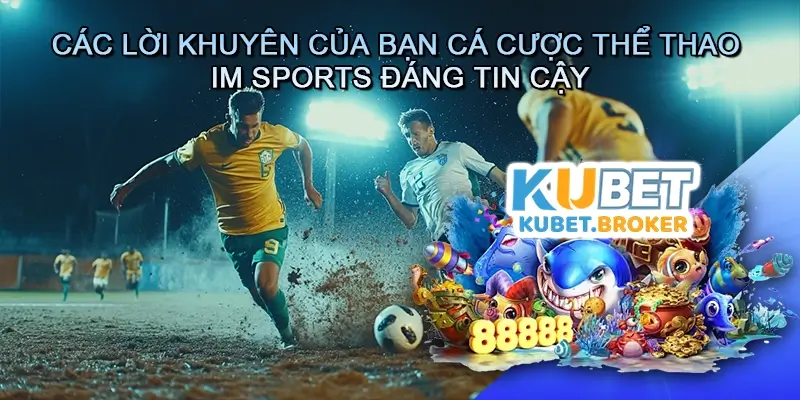 Các Lời Khuyên Của Bạn Cá Cược Thể Thao IM Sports Đáng Tin Cậy