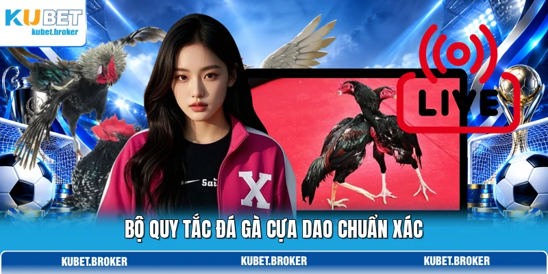 Bộ quy tắc đá gà cựa dao chuẩn xác Bộ quy tắc đá gà cựa dao chuẩn xác