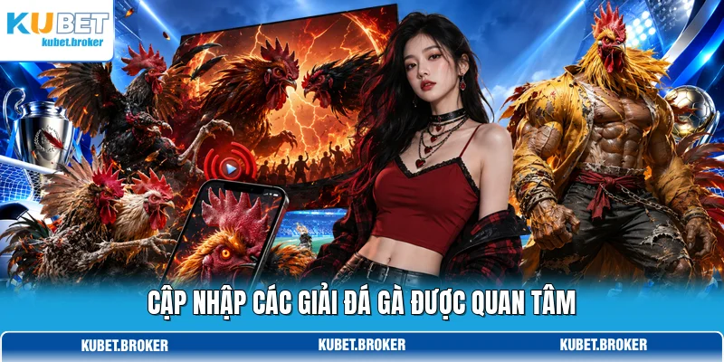 Cập nhập các giải đá gà được quan tâm Cập nhập các giải đá gà được quan tâm