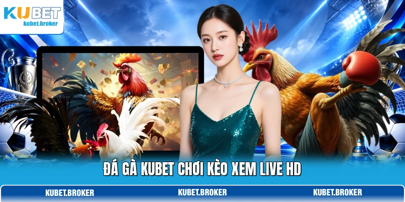 Đá gà KUBET chơi kèo xem live HD