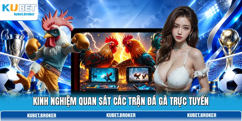 Kinh nghiệm quan sát các trận đá gà trực tuyến Kinh nghiệm quan sát các trận đá gà trực tuyến