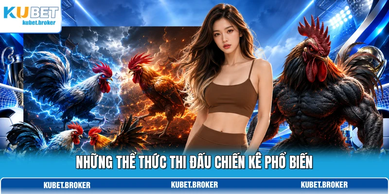 Những thể thức thi đấu chiến kê phổ biến